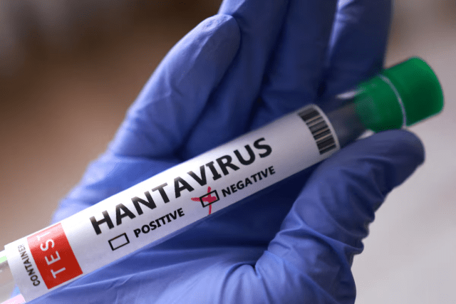 Argentina to expand hantavirus search to a second province