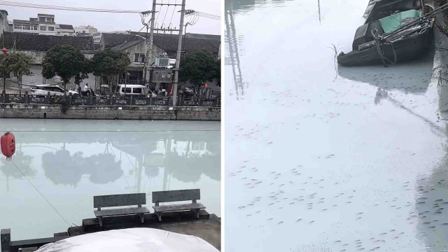 River turns milky white in Zhejiang after adhesive raw material leak, authorities say