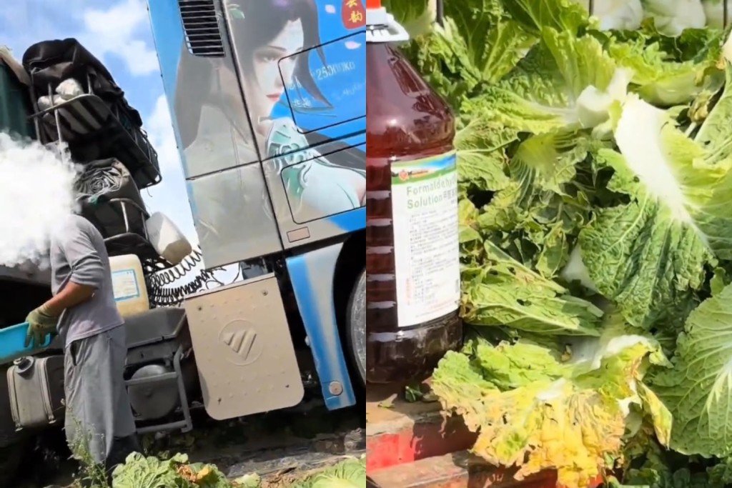 Guangzhou cabbage prices plunge 20pc over toxic chemical preservation fears