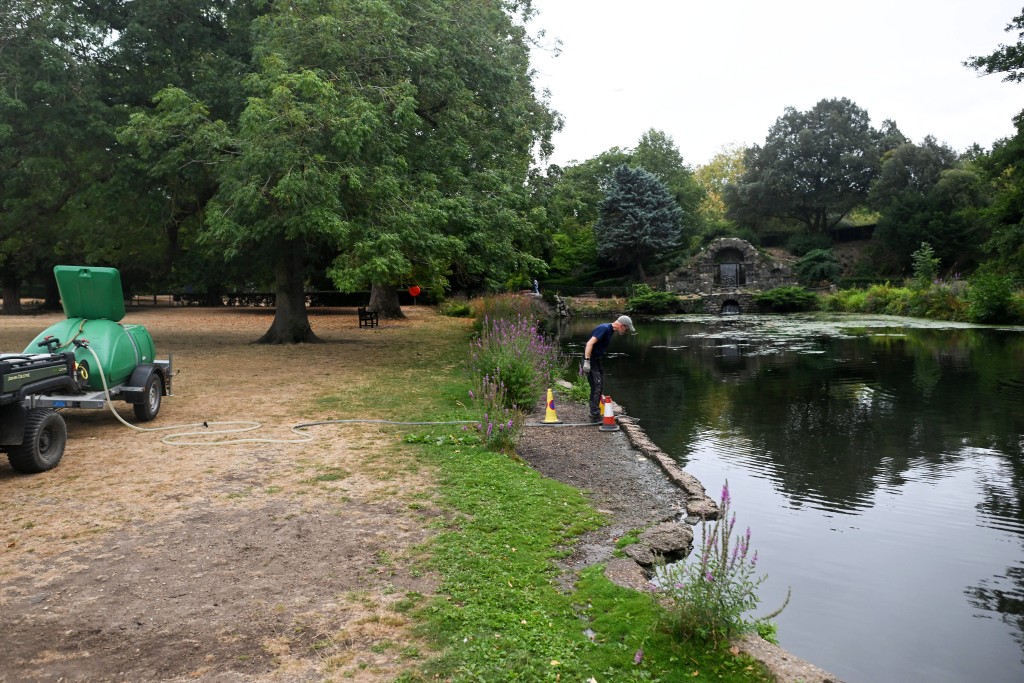 Trees ‘giving up’: climate change hammers historic English gardens